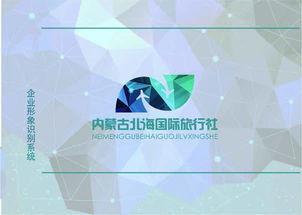 企业形象设计与CIS、VI设计 市场调研的关键作用